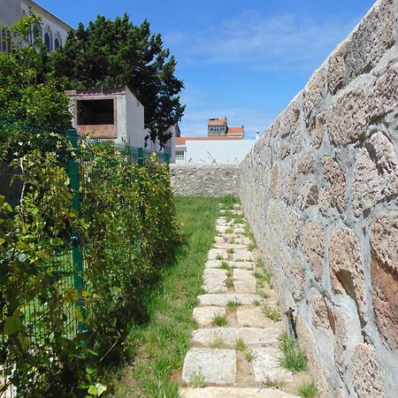 Liiiving In Porto | Central Garden Flat Exteriör bild